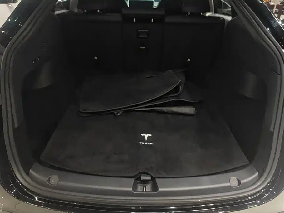 Tesla Model Y — миниатюра 4
