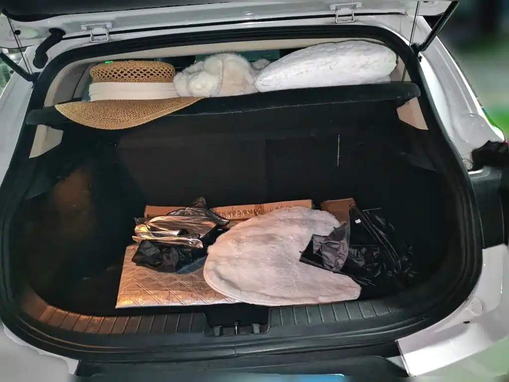 Geely Emgrand GS — миниатюра 10