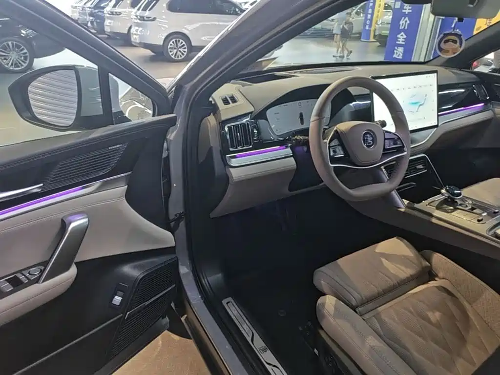 BYD Tang New Energy — миниатюра 16