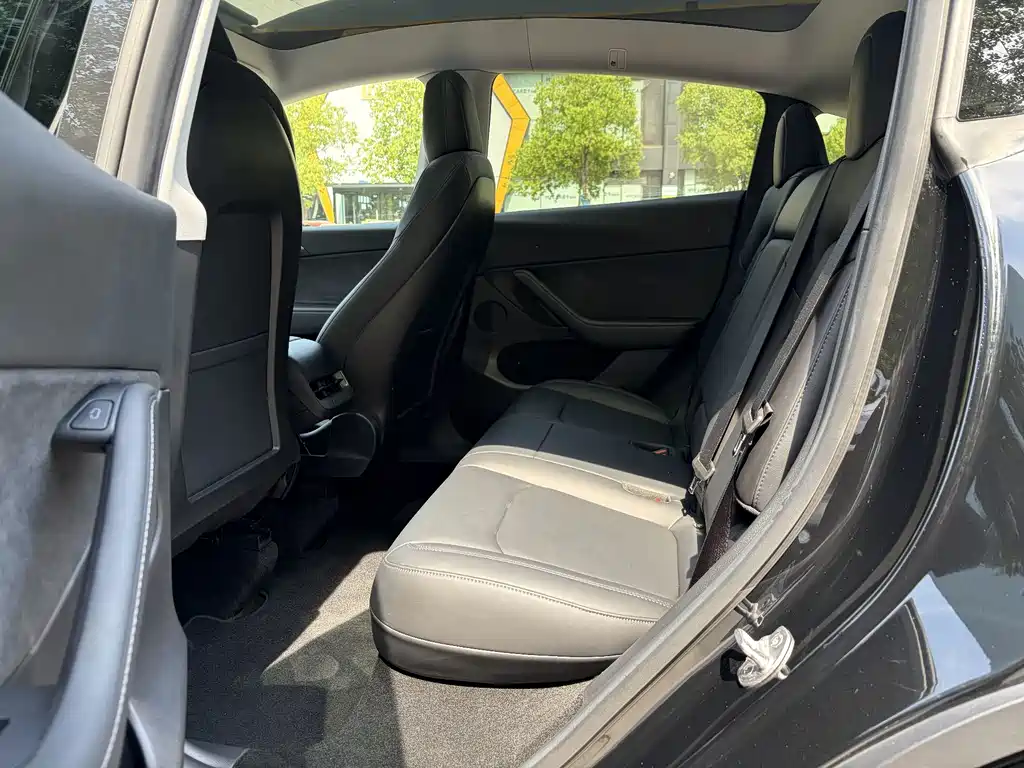 Tesla Model Y — миниатюра 4