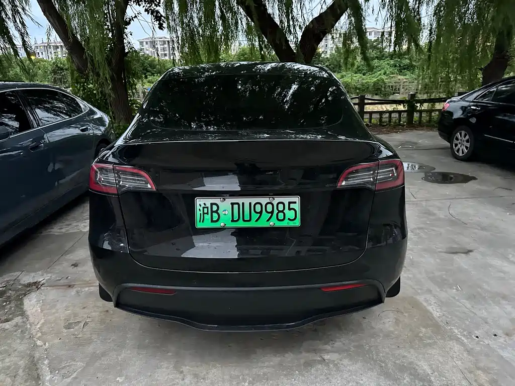 Tesla Model Y — миниатюра 3
