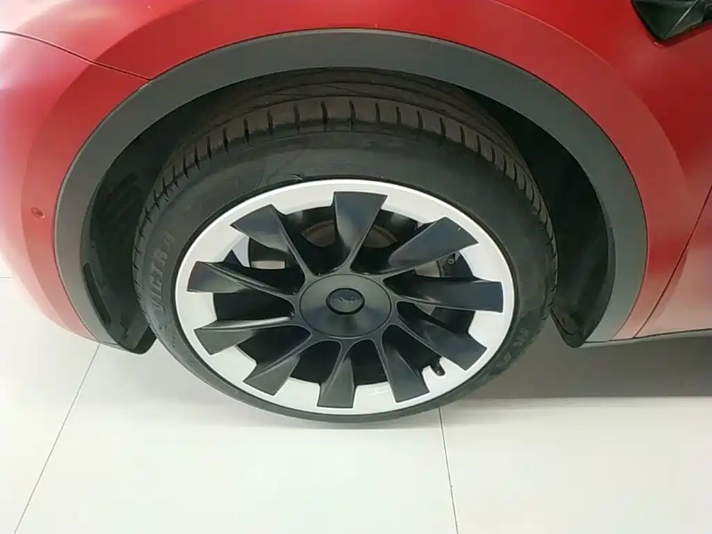 Tesla Model Y — миниатюра 23