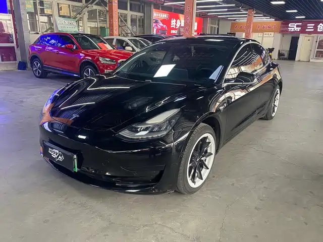 TESLA MODEL 3 2020