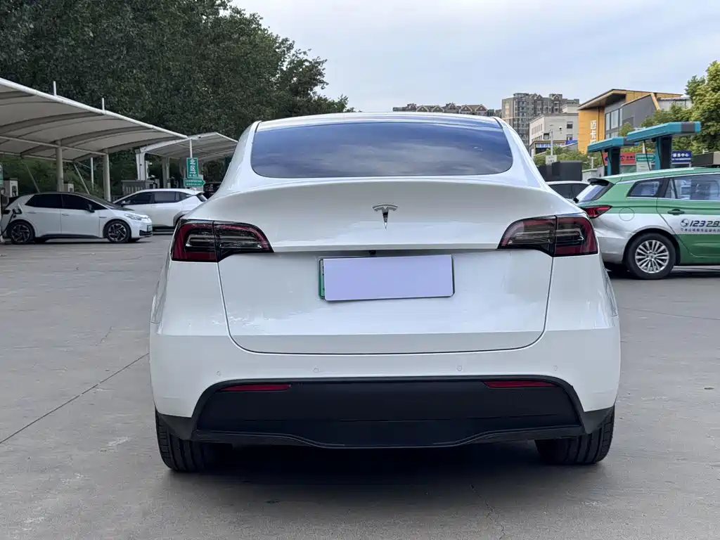 Tesla Model Y — миниатюра 4