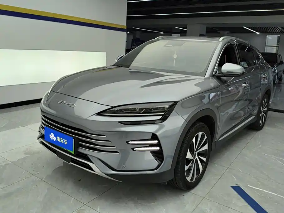 BYD PLUS New Energy