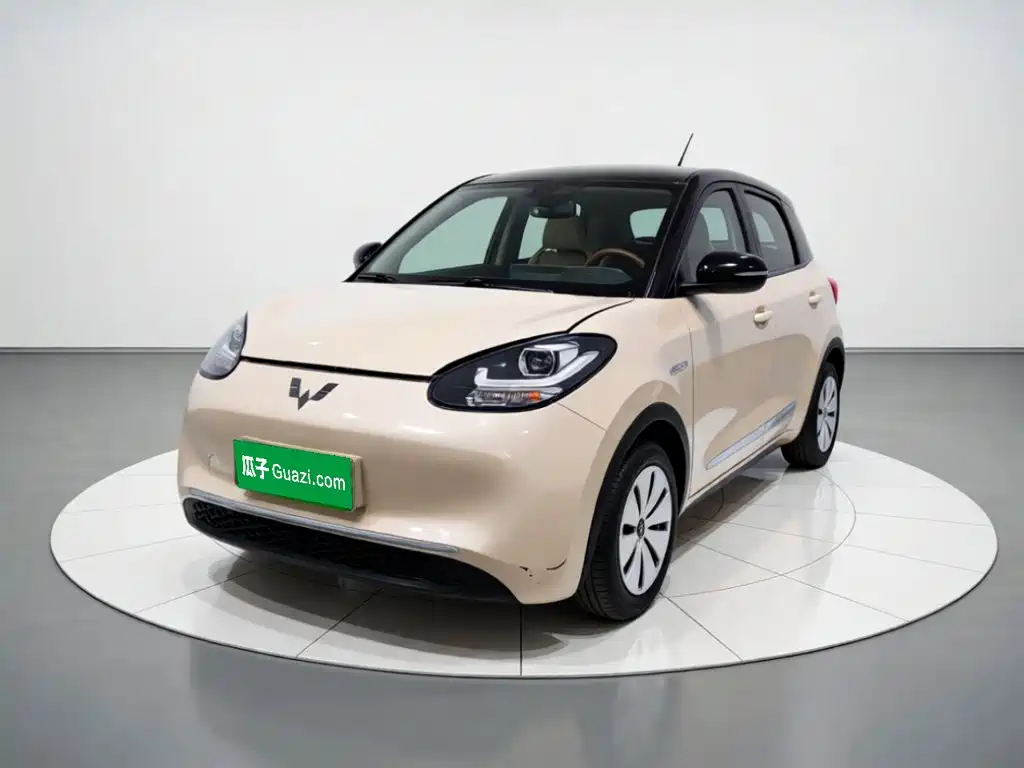 Wuling Bingo