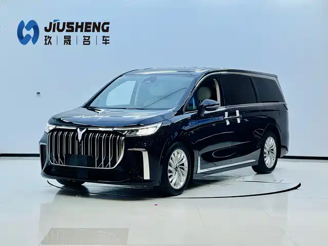 2024 Voyah Dream