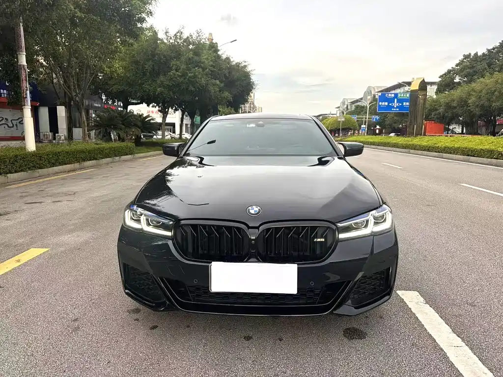 BMW 5 Series — миниатюра 2