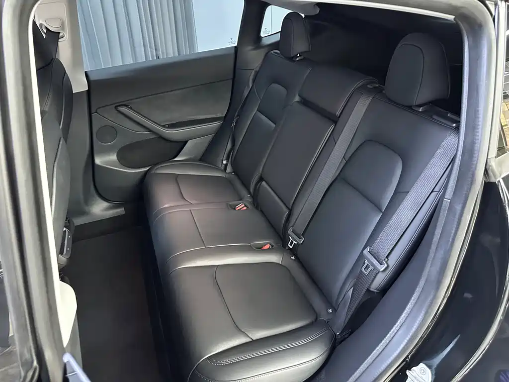 Tesla Model Y — миниатюра 10