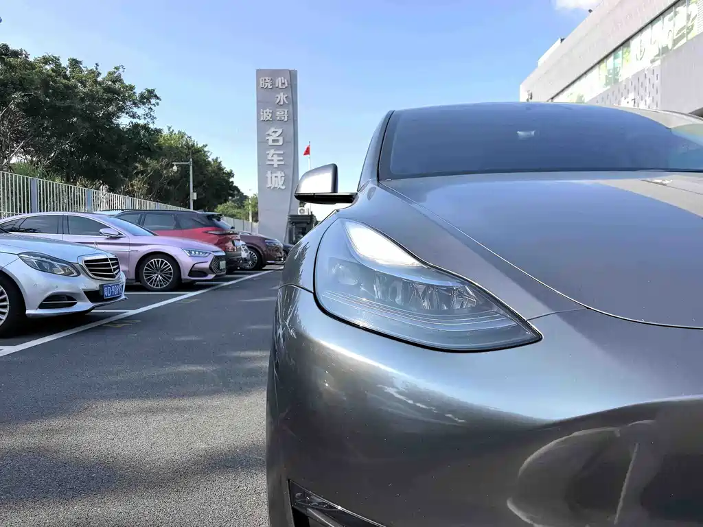 Tesla Model Y — миниатюра 6