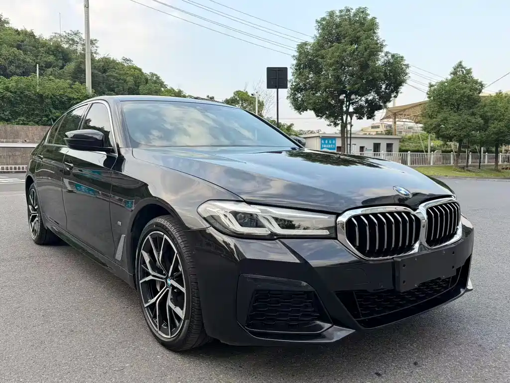 BMW 5 Series — миниатюра 2
