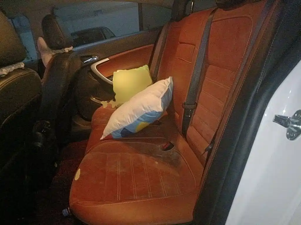 Buick Regal — миниатюра 13