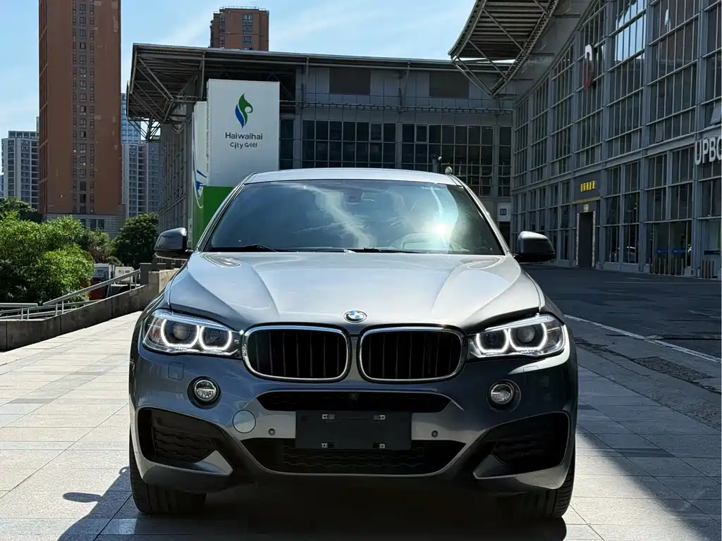 BMW X6 — миниатюра 2