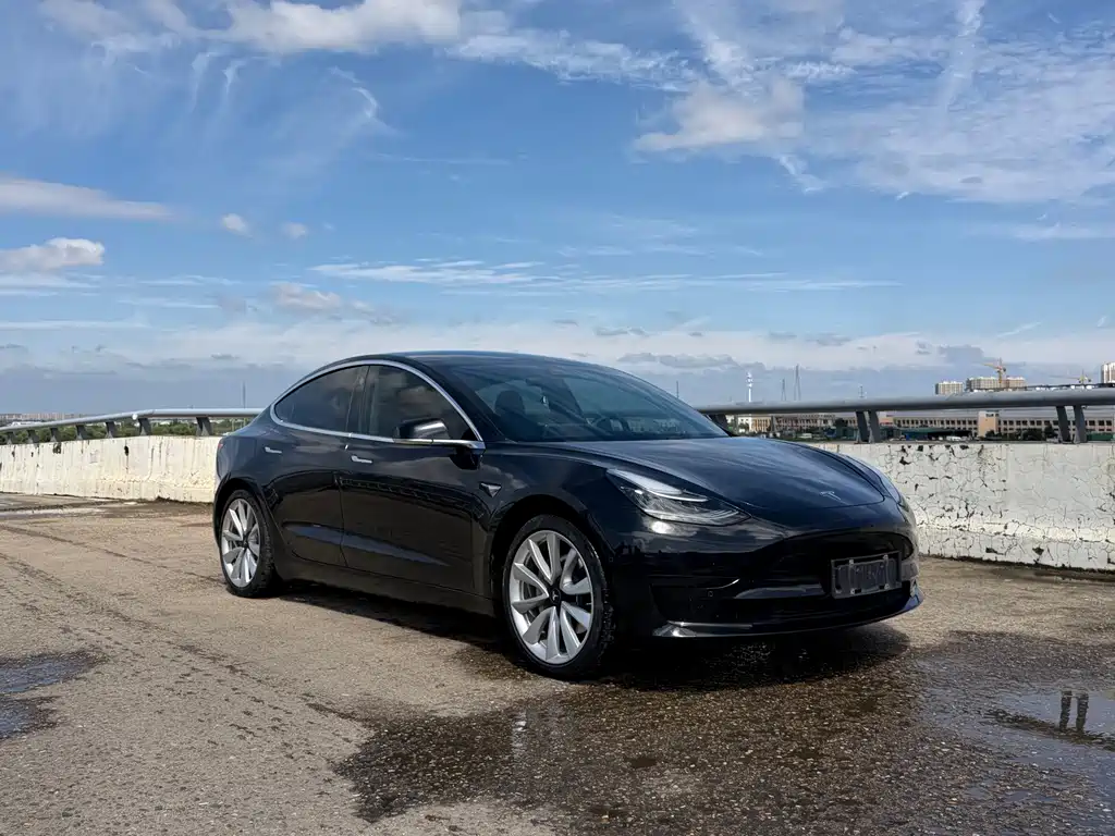 Tesla Model 3 — миниатюра 3