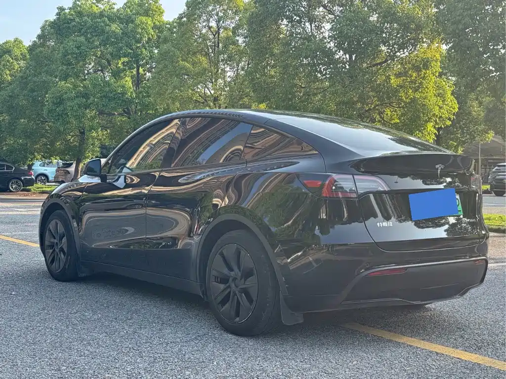 Tesla Model Y — миниатюра 7