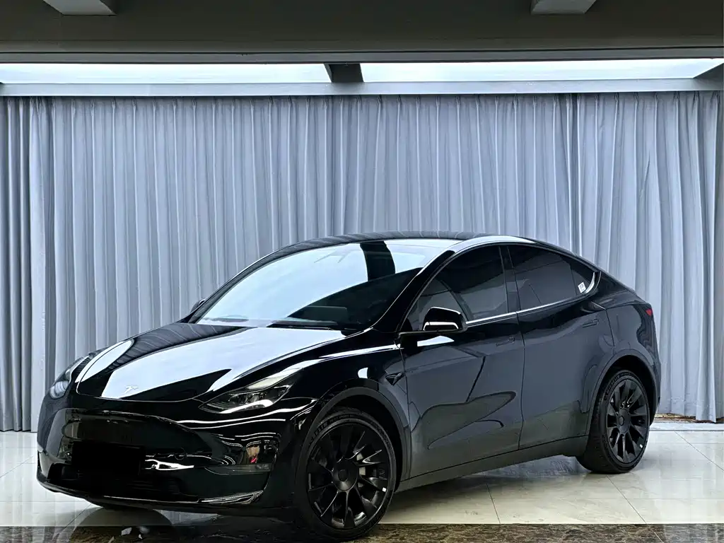 Tesla Model Y — миниатюра 4