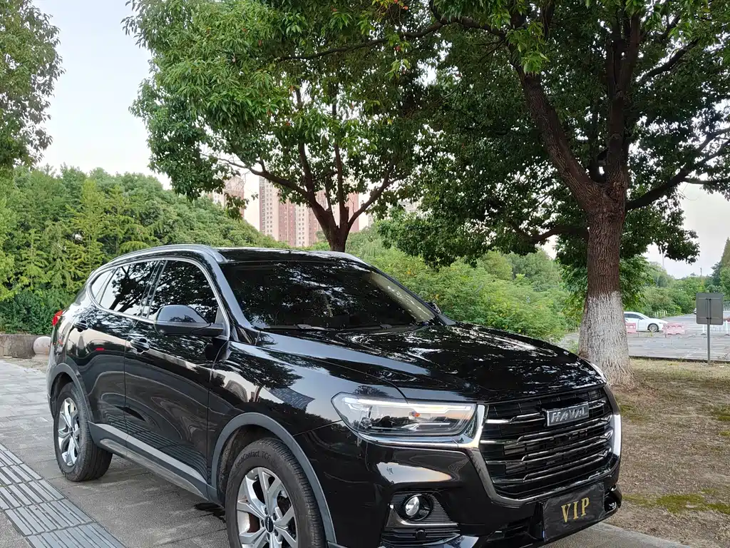Haval H6 — миниатюра 2