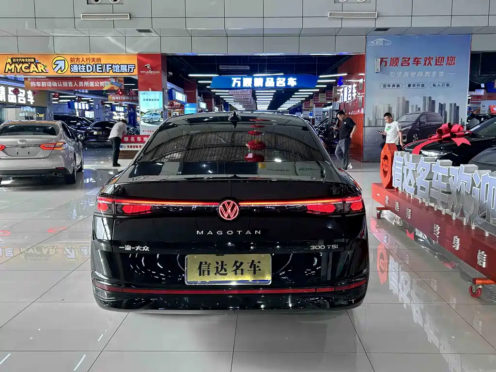 Volkswagen Magotan 2024 300TSI DSG Premium
