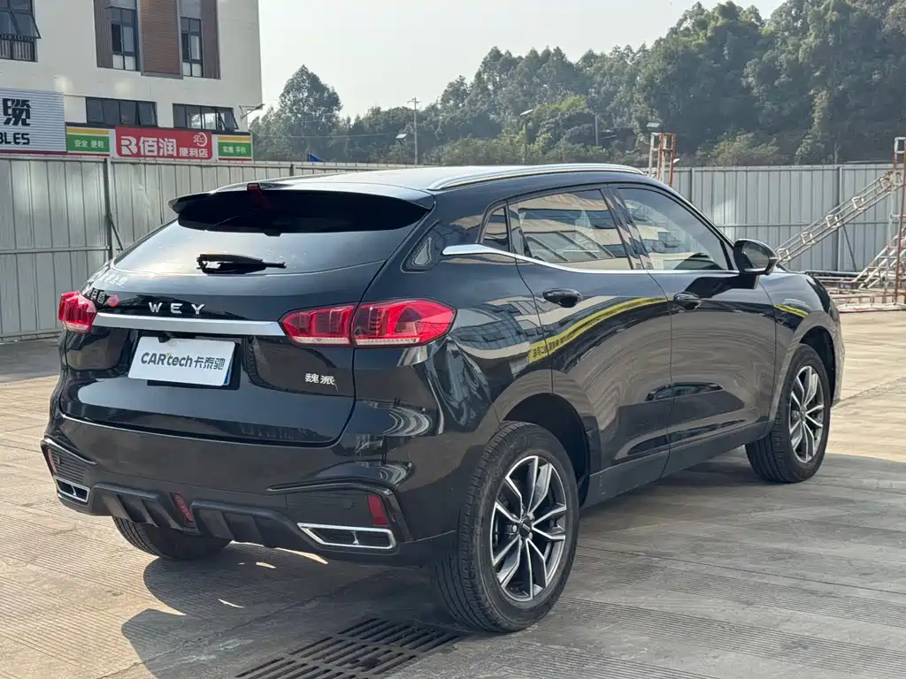 WEI PAI WEI BRAND VV5