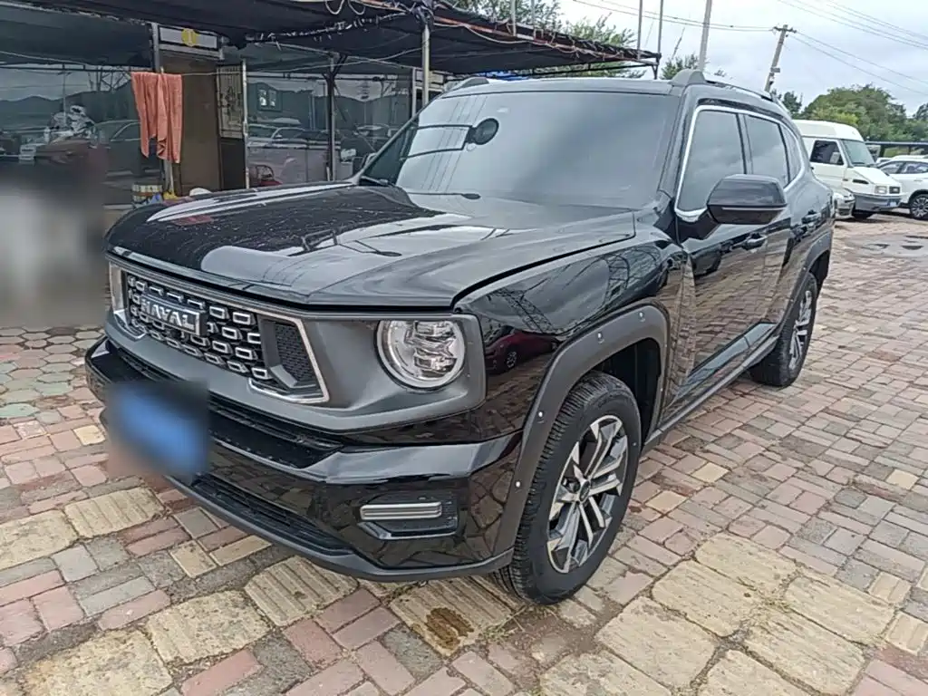 Haval Big Dog PLUS — миниатюра 2