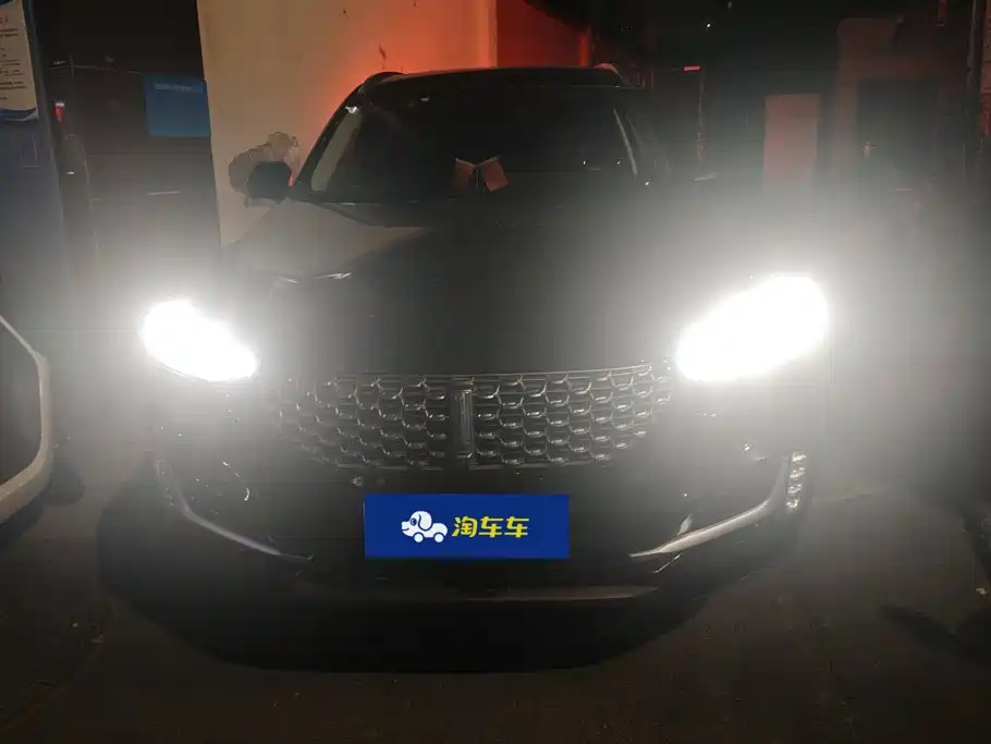 Wey Wey VV6 — миниатюра 2
