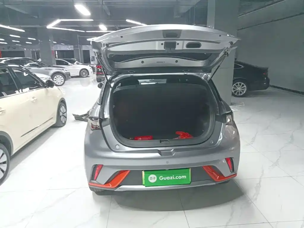 BYD Dolphin — миниатюра 19