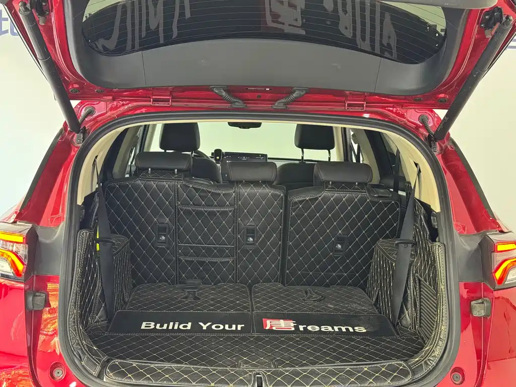 BYD Tang New Energy — миниатюра 8