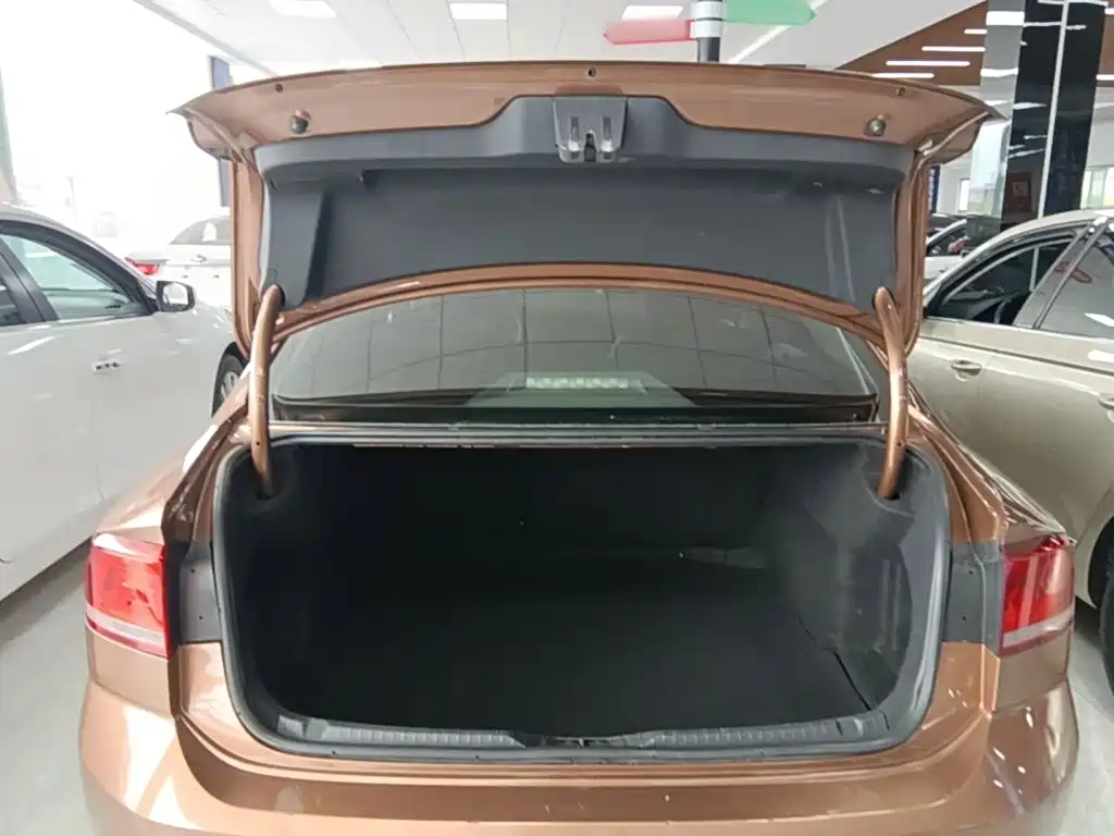 Volkswagen Lamando — миниатюра 19