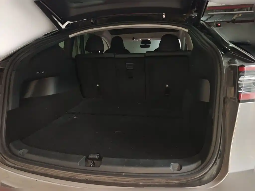 Tesla Model Y — миниатюра 10