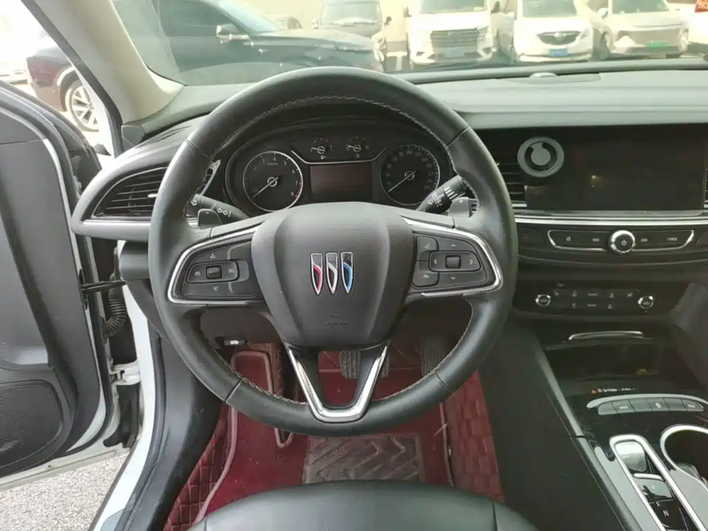 Buick Regal — миниатюра 11