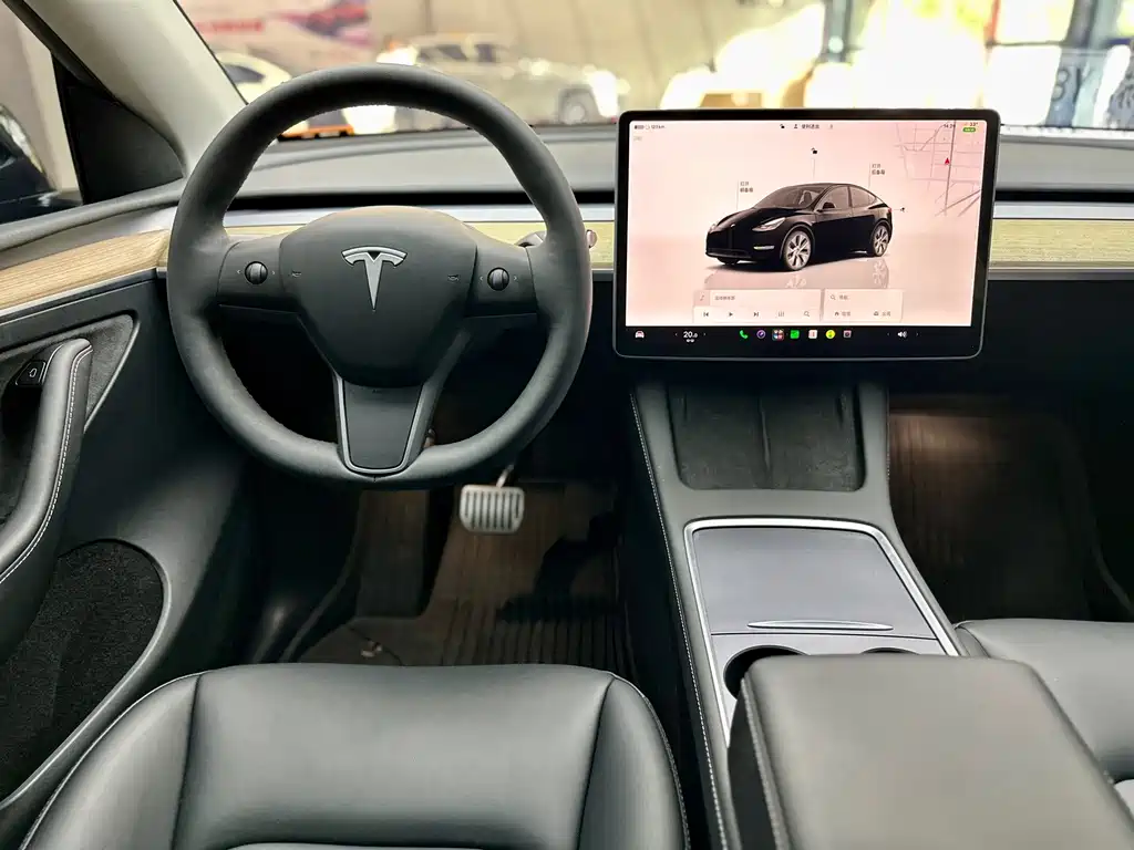 Tesla Model Y — миниатюра 5