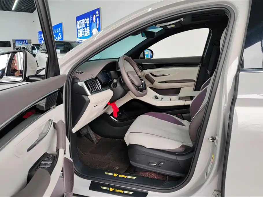 BYD SONGJIANG NEW ENERGY