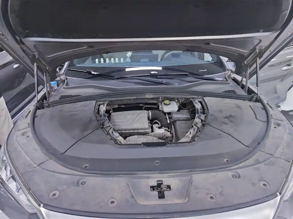 BYD PLUS New Energy — миниатюра 20