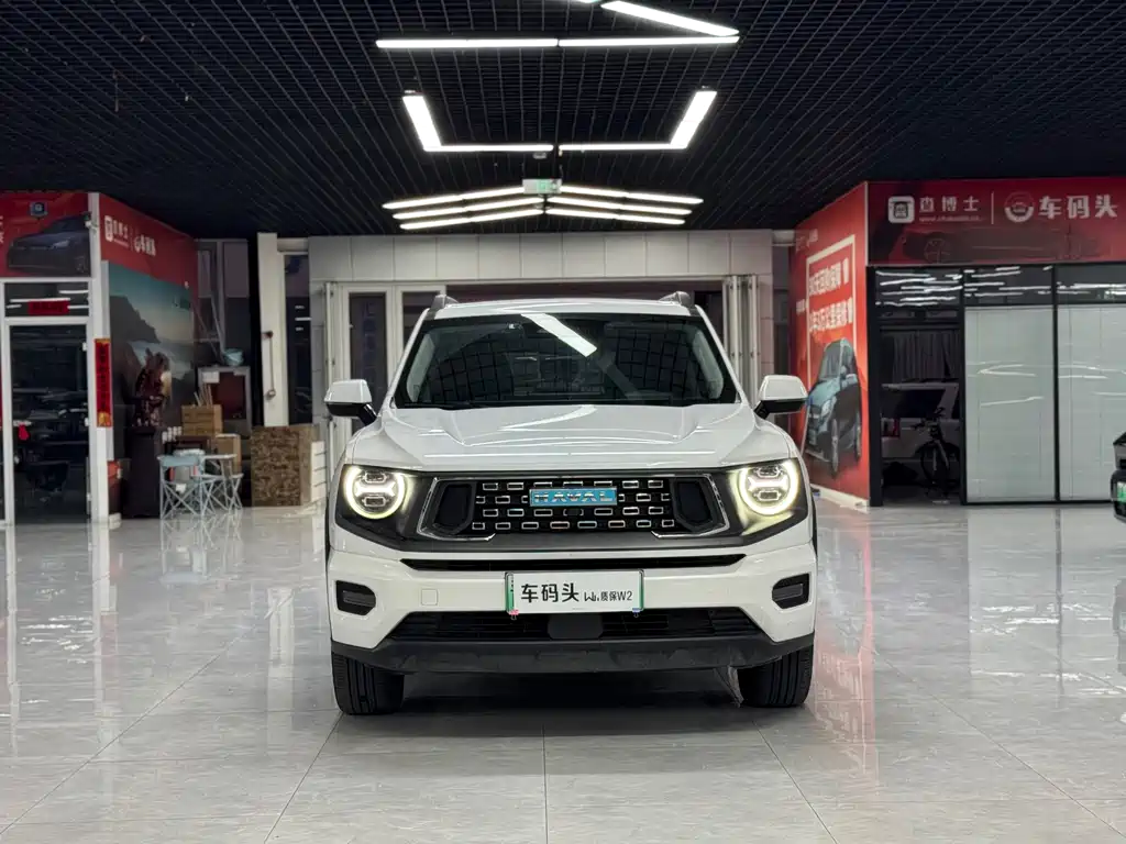 Haval Плюс новая энергия. — миниатюра 2