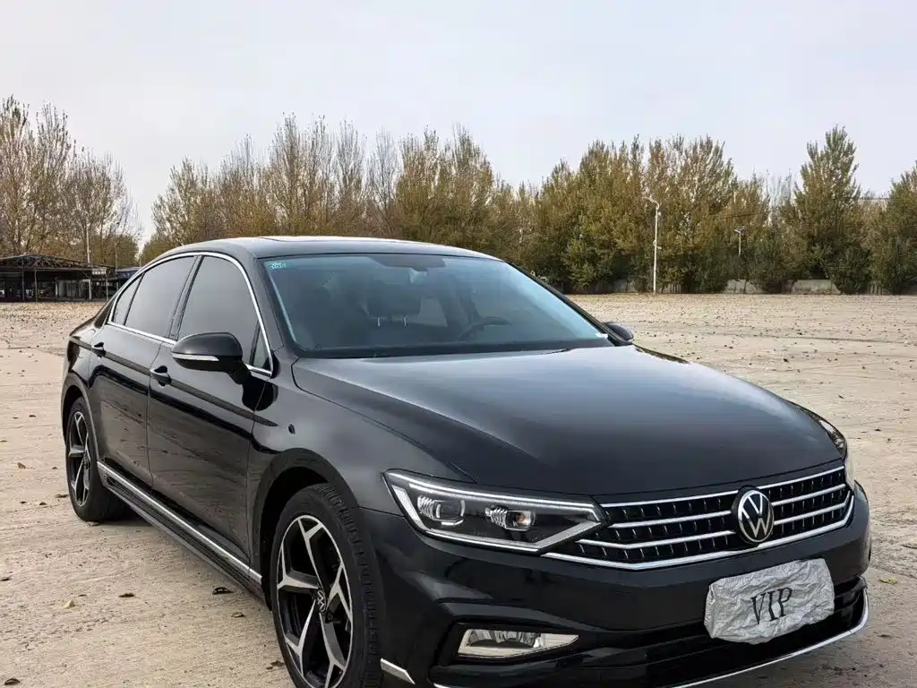 Volkswagen Magotan — миниатюра 2