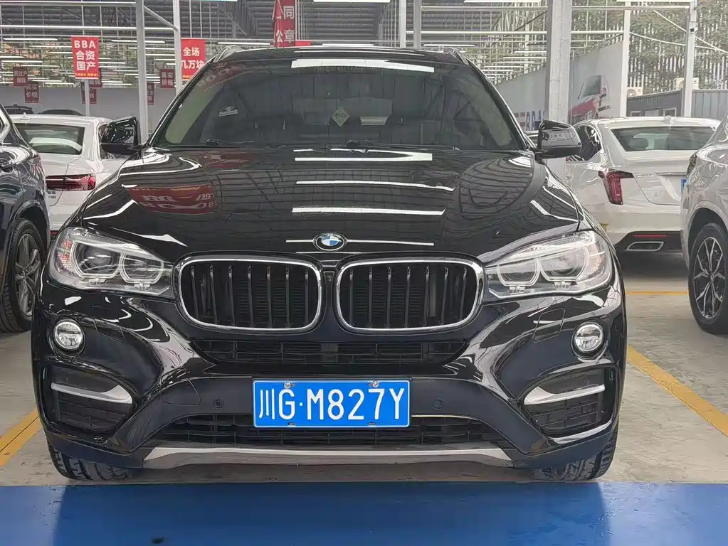 BMW X6 — миниатюра 2