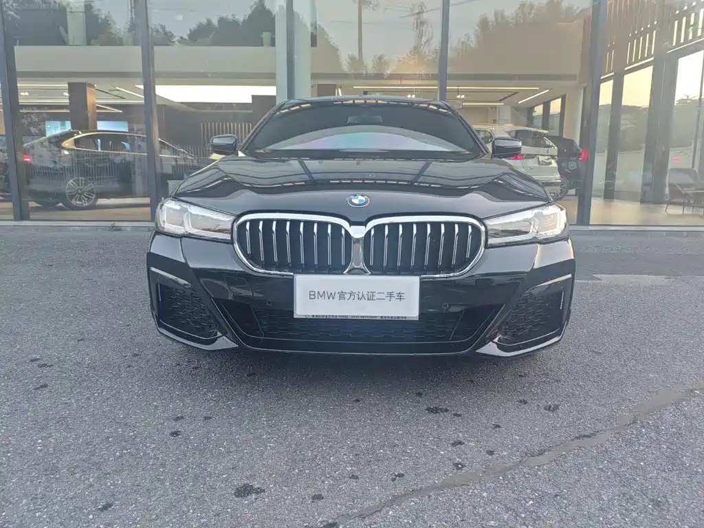 BMW 5 Series — миниатюра 4