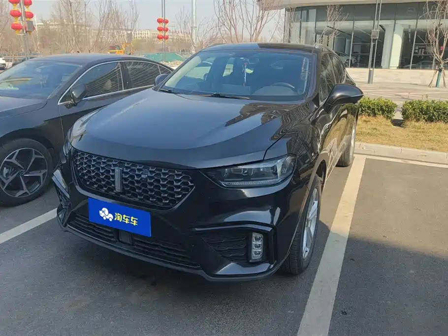 WEI PAI WEI BRAND VV5