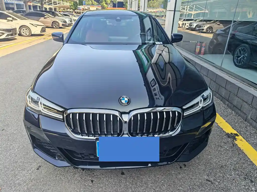BMW 5 Series — миниатюра 2
