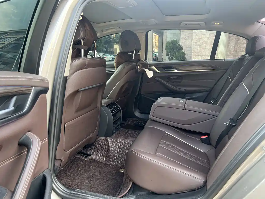 BMW 5 Series 5 2021 530Li Lead Luxury