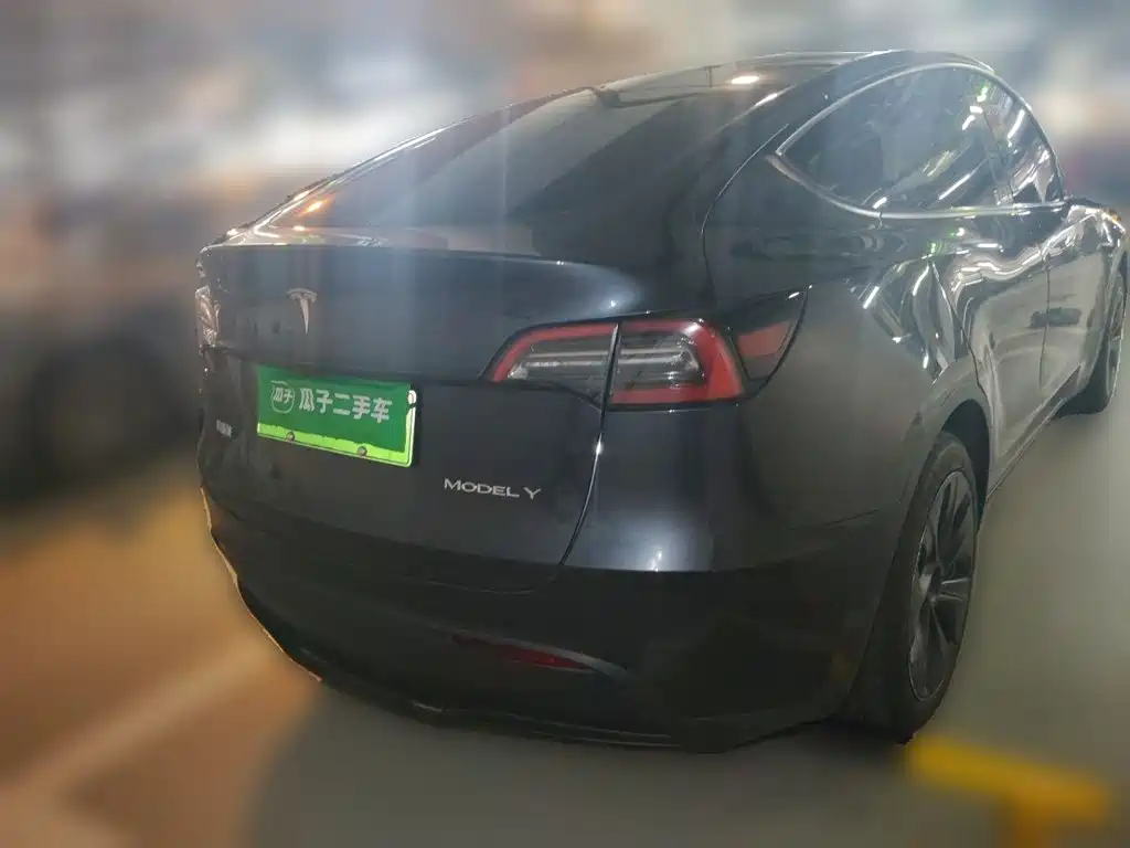 Tesla Model Y — миниатюра 3
