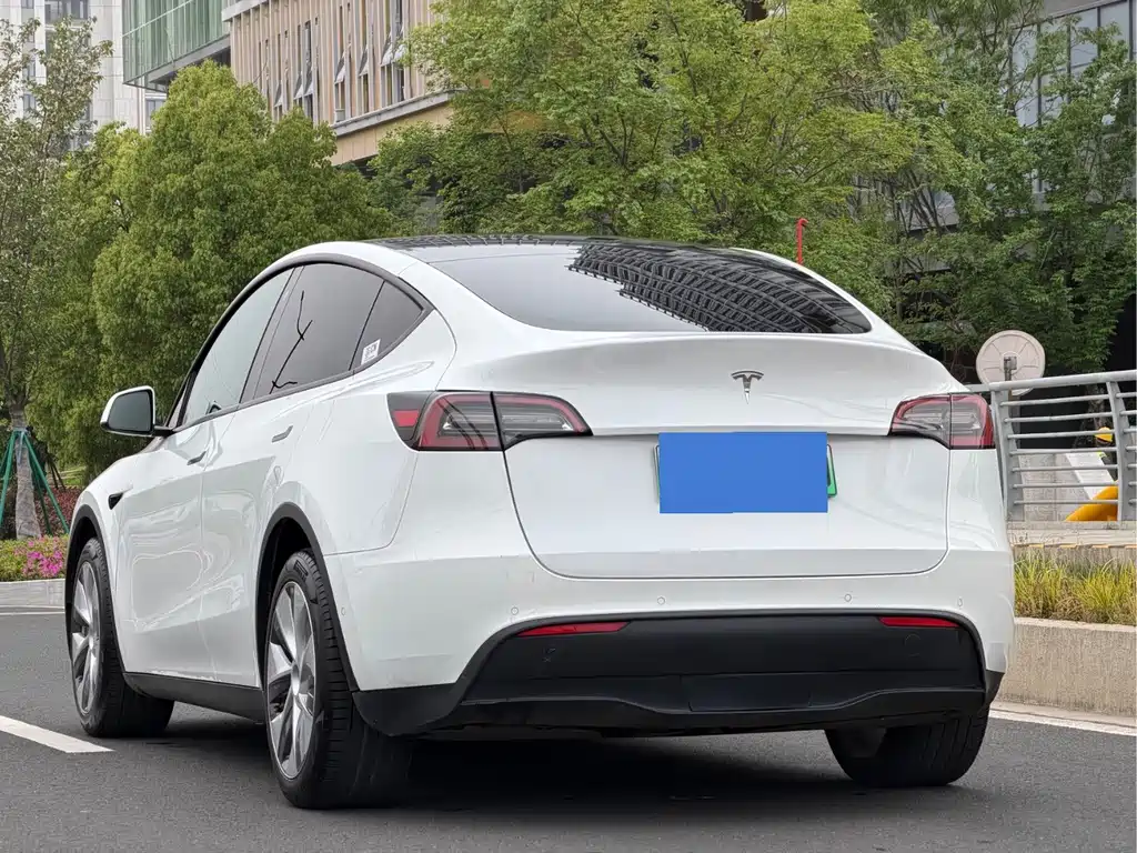 Tesla Model Y — миниатюра 9