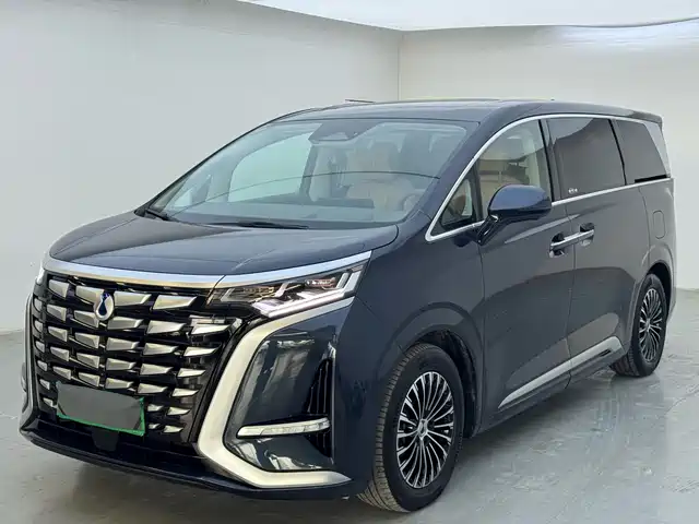 2022 Denza D9