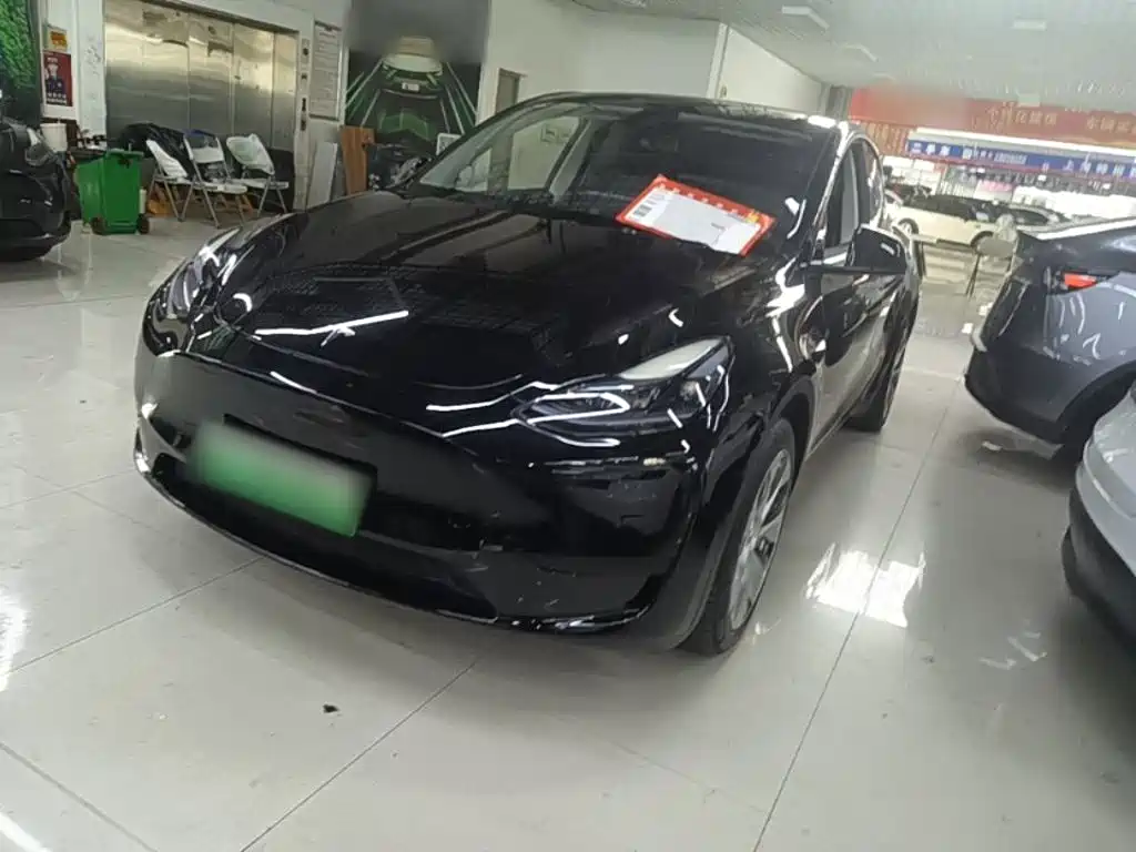 Tesla Model Y — миниатюра 2