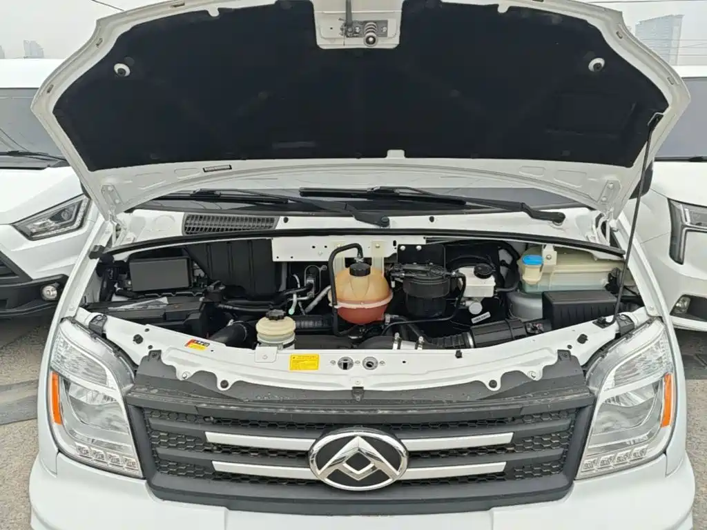 MAXUS V80 — миниатюра 20