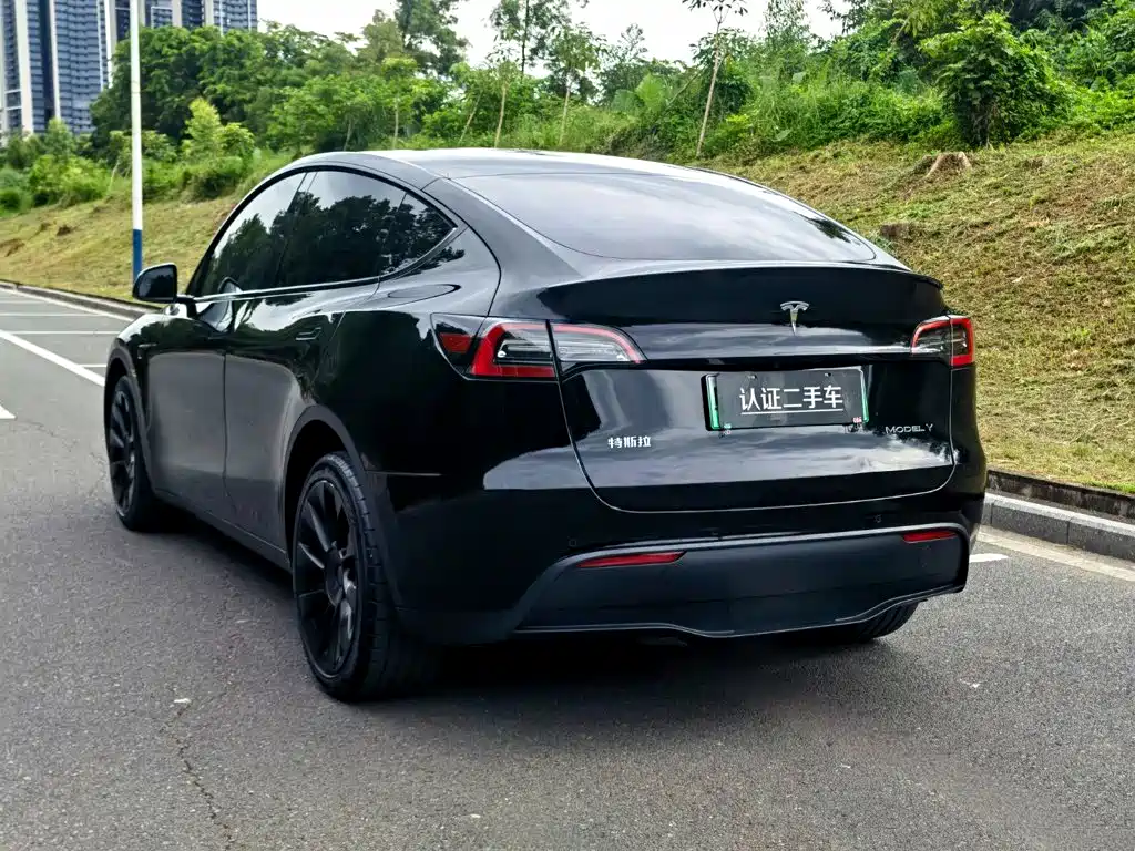 Tesla Model Y — миниатюра 5