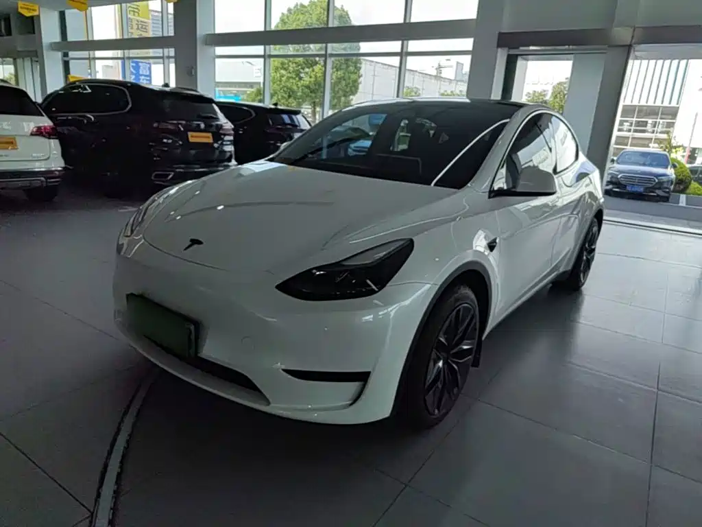 Tesla Model Y — миниатюра 2