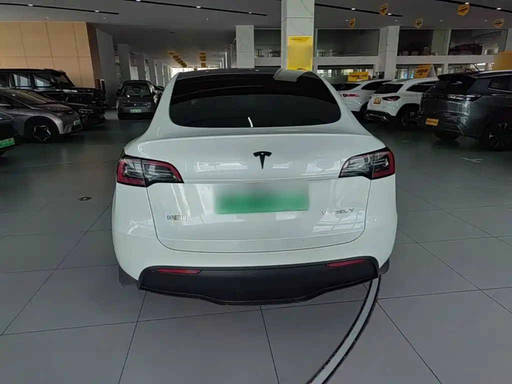 Tesla Model Y — миниатюра 6