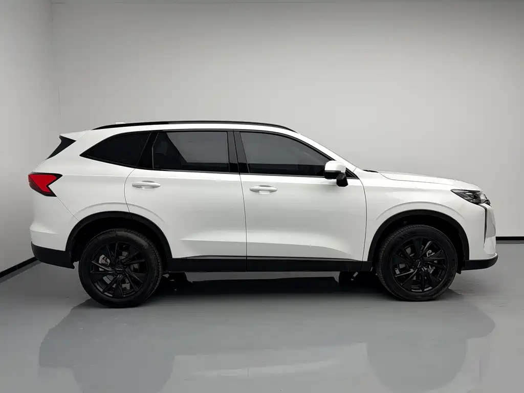 Haval H6 — миниатюра 9