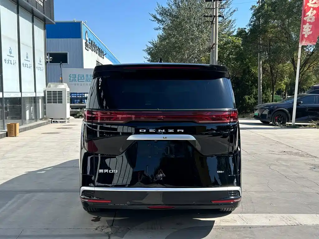 Denza Denza D9 — миниатюра 5
